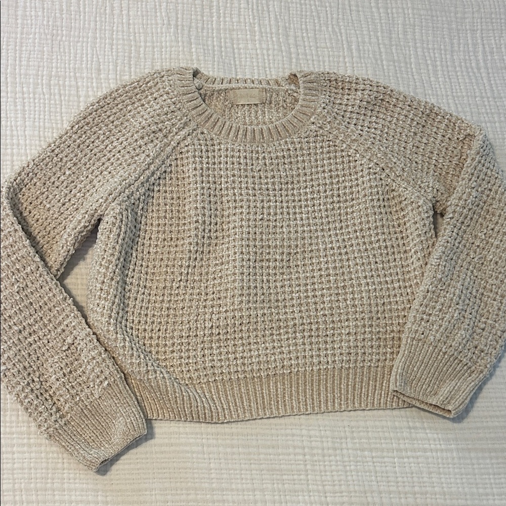 Cream Sweater Altard Sweater